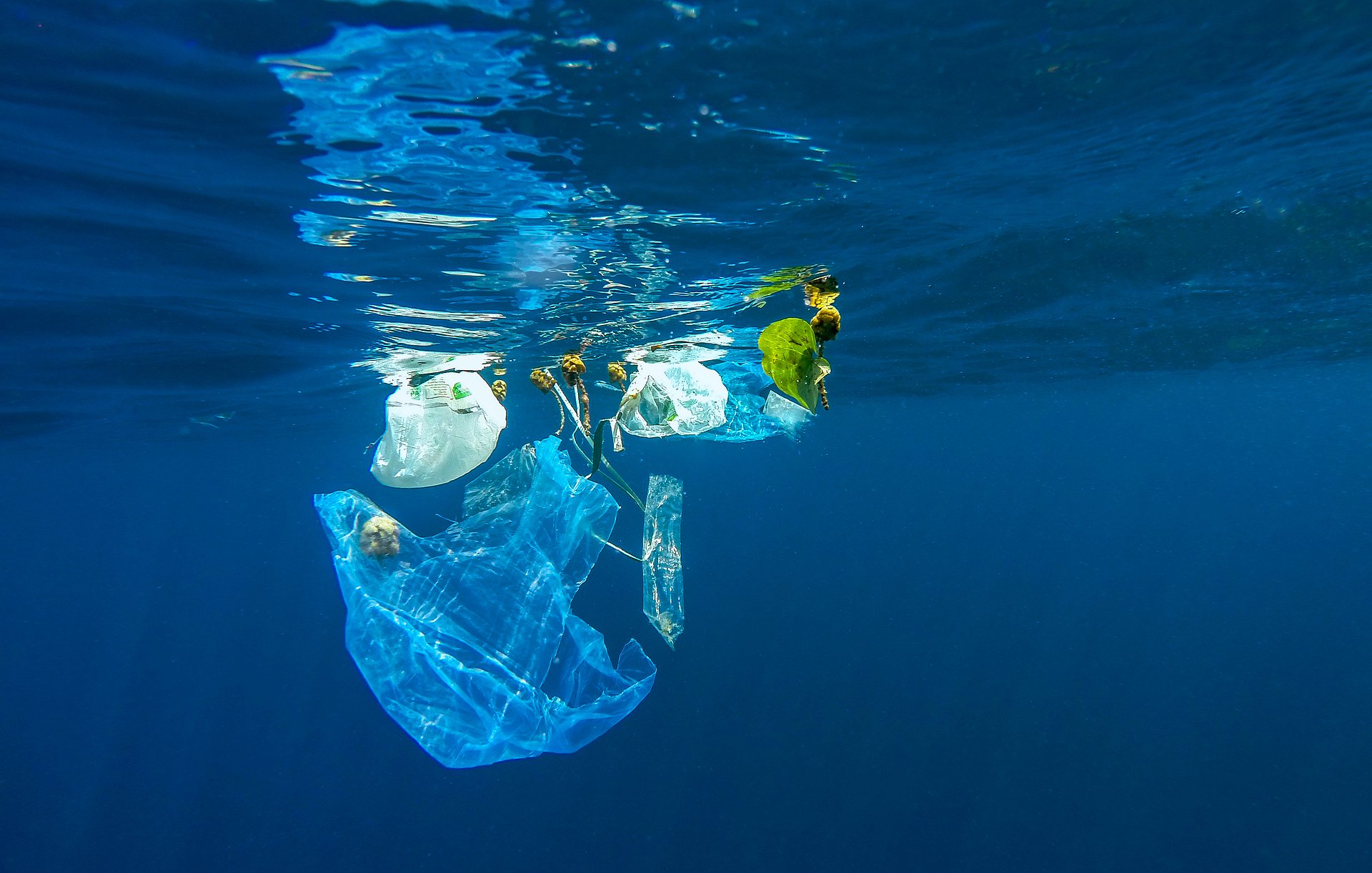 Plastiktüten schwimmen im Meer